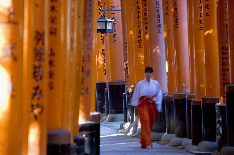 一个人,横图,京都,日本,亚洲,日本文化,鸟居,摄影,京都府,神殿,东亚,本州,本州岛,日本国,近畿地方,近畿,伏见稻荷大社,伏见区,彩图