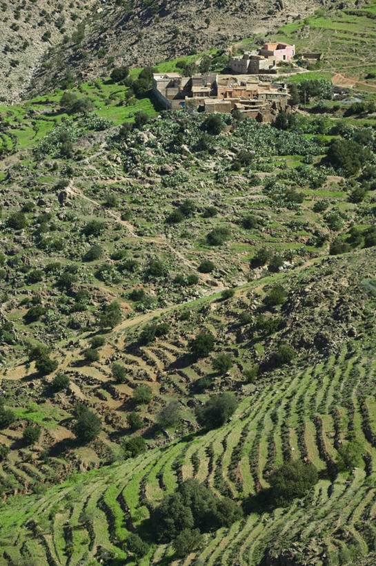 无人,竖图,室外,梯田,非洲,摩洛哥,地形,摄影,北非,摩洛哥文化,彩图