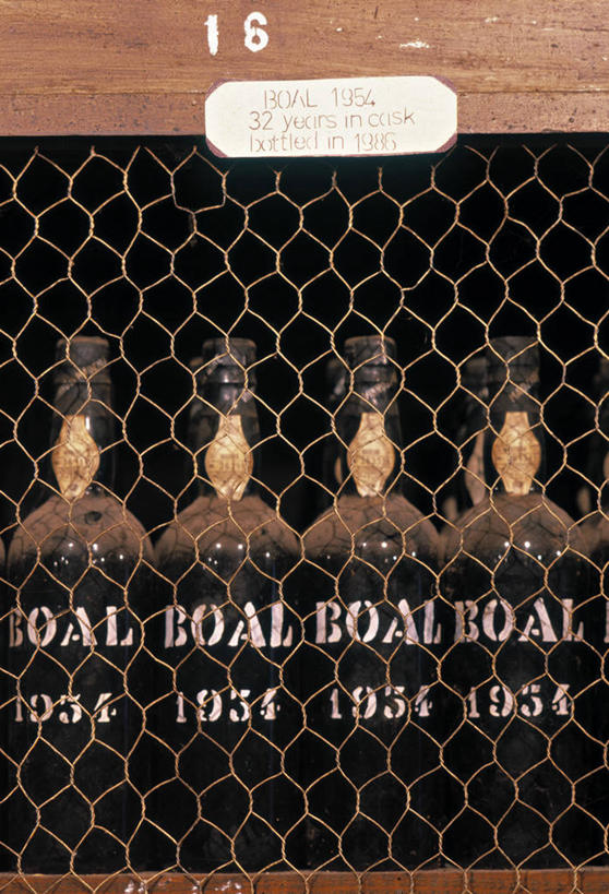 无人,竖图,葡萄牙,岛,酒窖,大西洋,摄影,马德拉,丰沙尔,大西洋群岛,彩图