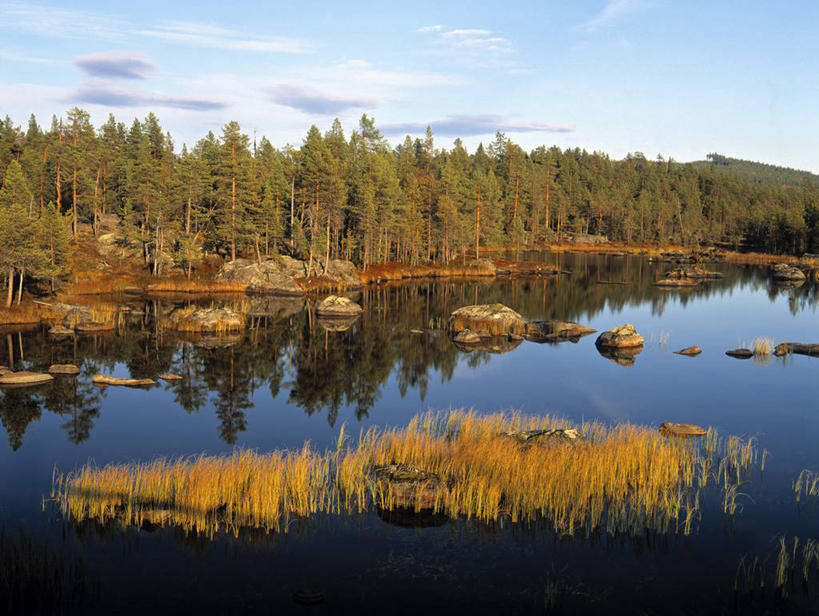 无人,横图,室外,湖,瑞典,欧洲,摄影,斯堪的纳维亚,斯堪狄纳维亚半岛,彩图