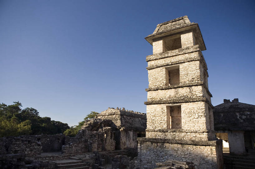 无人,横图,墨西哥,摄影,考古学,中美洲,拉丁美洲,玛雅文明,帕伦克,彩图