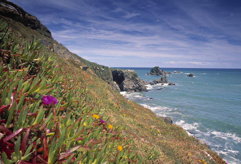 无人,横图,新西兰,摄影,澳大拉西亚,新西兰南岛,彩图