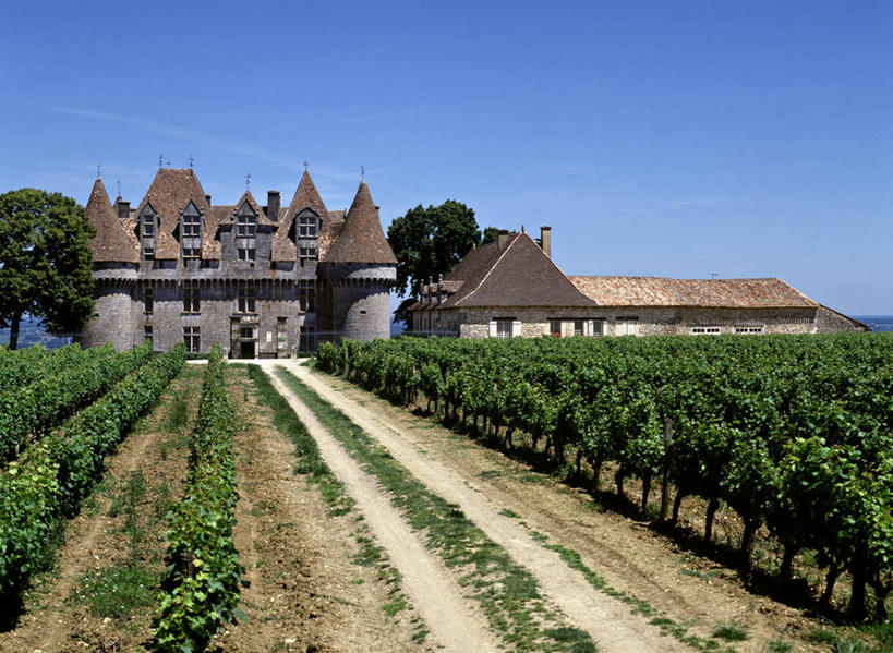 无人,横图,室外,法国,欧洲,葡萄园,摄影,多尔多涅,彩图,旅行