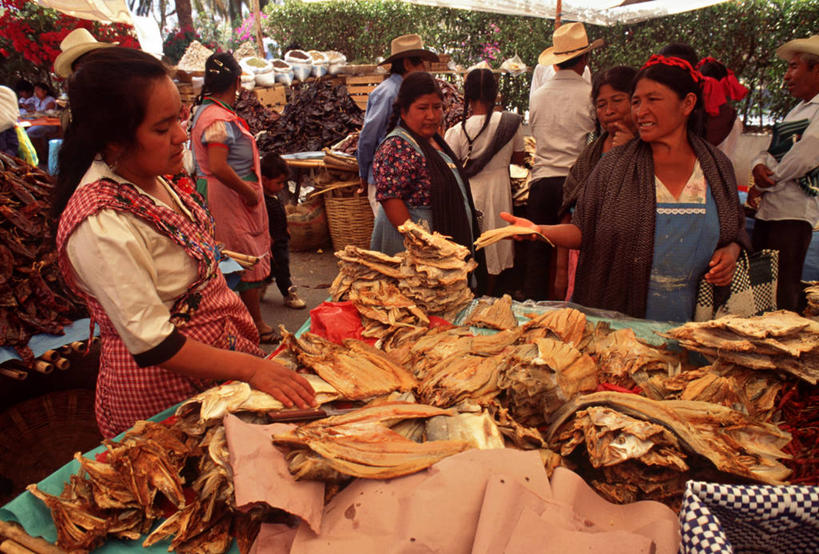 横图,墨西哥,摄影,中美洲,拉丁美洲,瓦哈卡州,彩图,旅行,鱼市