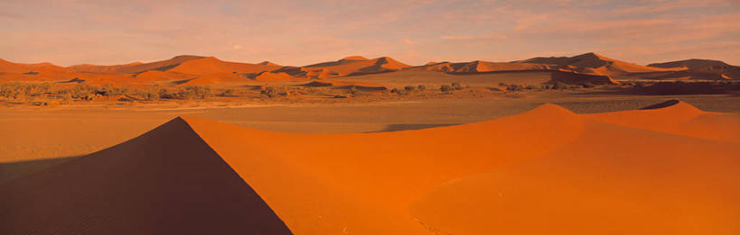 无人,横图,全景,室外,沙漠,非洲,纳米比亚,沙丘,摄影,彩图