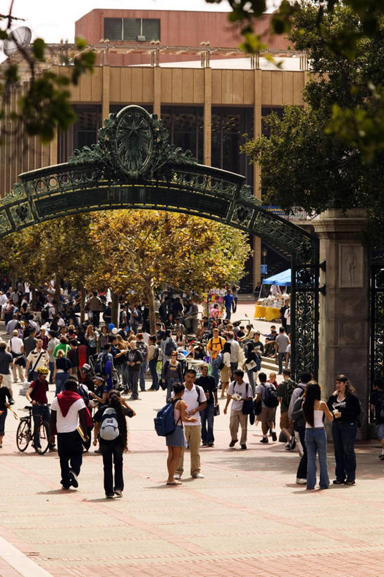 竖图,美国,校园,摄影,北美,加利福尼亚,伯克利,彩图,旅行