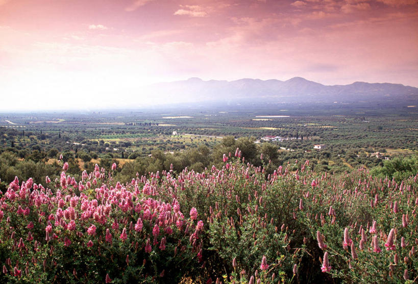 无人,横图,希腊,欧洲,地形,摄影,地中海文化,克里特岛,彩图,旅行