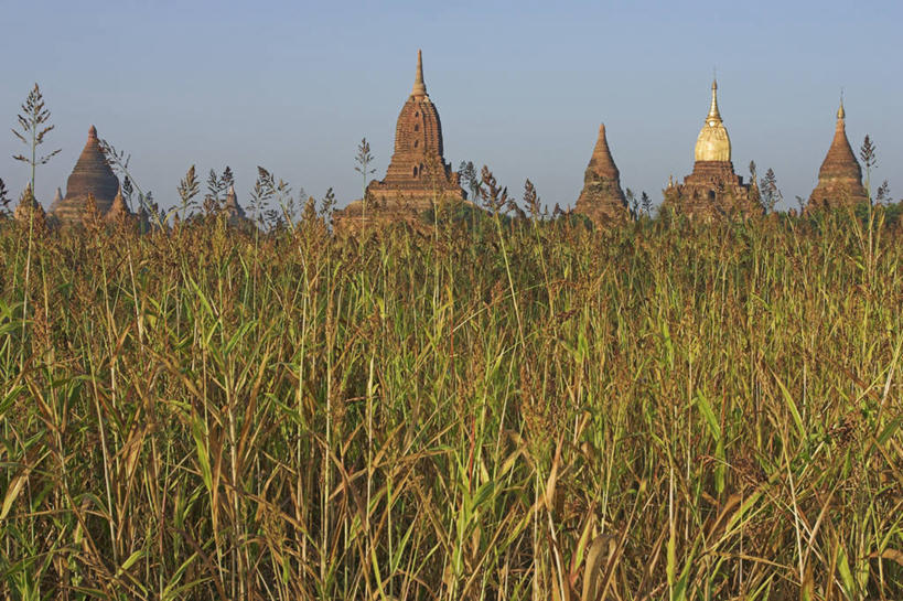 无人,横图,缅甸,亚洲,佛塔,地标建筑,摄影,东南亚,蒲甘,彩图