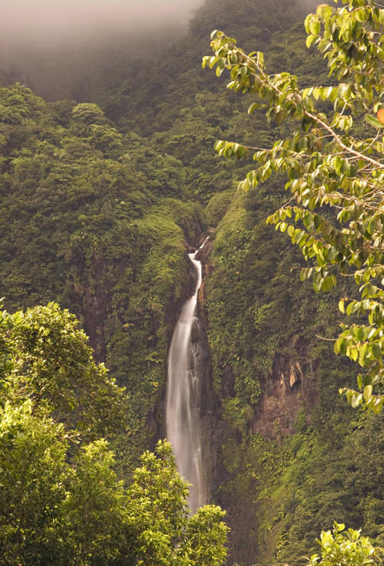 无人,竖图,室外,瀑布,岛,摄影,拉丁美洲,瓜德罗普岛,彩图,法国海外领土