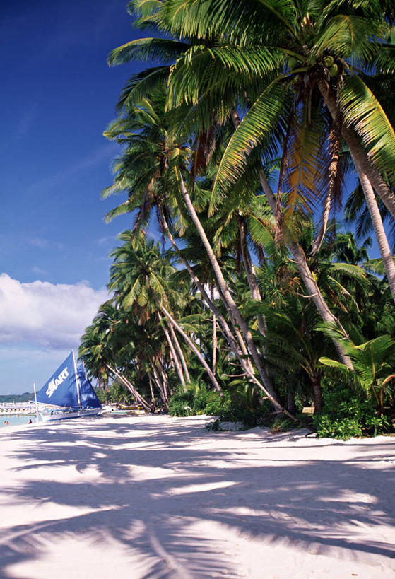 无人,竖图,室外,旅游,度假,棕榈树,菲律宾,亚洲,娱乐,享受,休闲,放松,摄影,热带气候,长滩岛,海滩,彩图