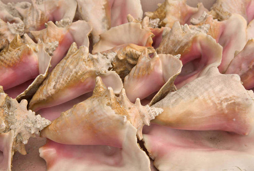 无人,横图,岛,摄影,拉丁美洲,彩图