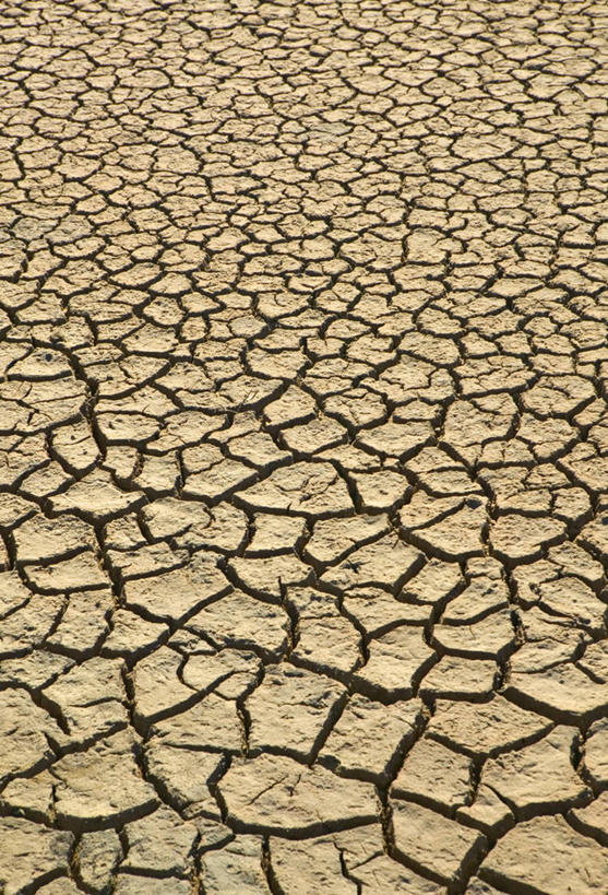 无人,竖图,岛,天气,摄影,干旱,拉丁美洲,干的,彩图