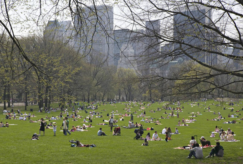 横图,纽约,美国,曼哈顿,摄影,北美,中央公园,彩图