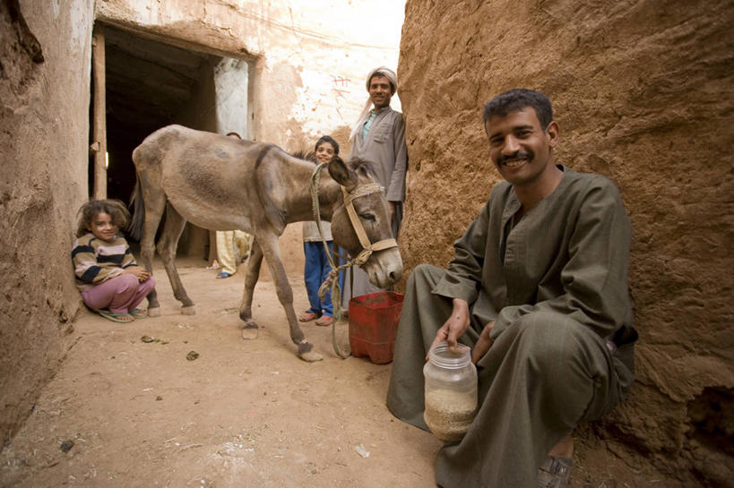 横图,非洲,埃及,古城,摄影,绿洲,中东,肖像,北非,埃及文化,彩图