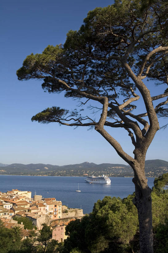 无人,教堂,竖图,室外,天际线,法国,欧洲,城镇,摄影,西欧,地中海,普罗旺斯,法国文化,圣曹菲,彩图