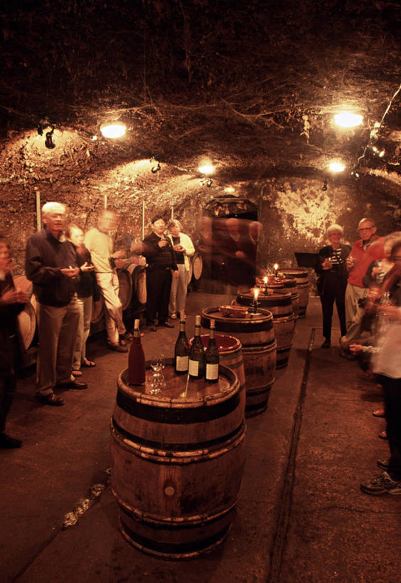 葡萄酒,竖图,法国,欧洲,酒窖,摄影,洞穴,品酒,法国文化,科多尔省,布根地,男性,彩图