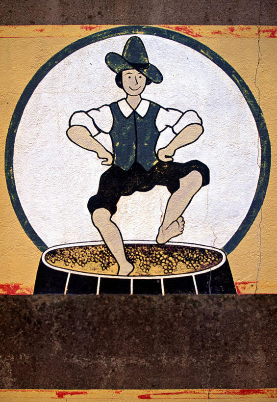 葡萄酒,无人,竖图,农业,葡萄,法国,欧洲,乡村,城镇,酒窖,摄影,洞穴,收获,法国文化,科多尔省,布根地,彩图