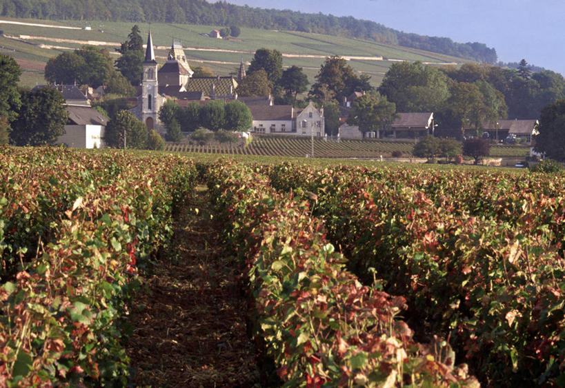 葡萄酒,无人,横图,室外,法国,欧洲,地形,乡村,城镇,葡萄园,摄影,法国文化,科多尔省,布根地,彩图