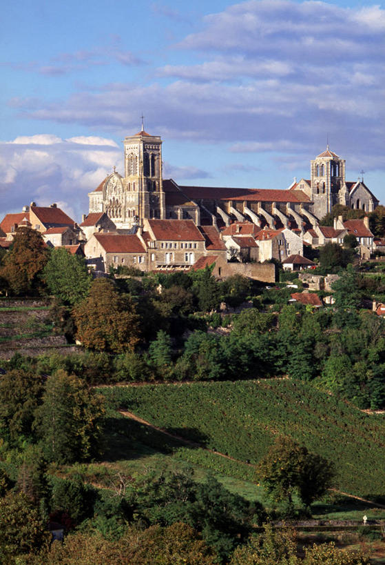 葡萄酒,无人,竖图,室外,农业,建筑,法国,欧洲,葡萄园,藤蔓,摄影,罗马式,法国文化,藤蔓植物,布根地,彩图