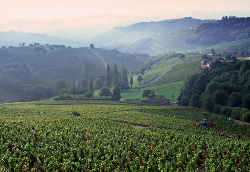 无人,横图,法国,欧洲,地形,摄影,法国文化,布根地,彩图