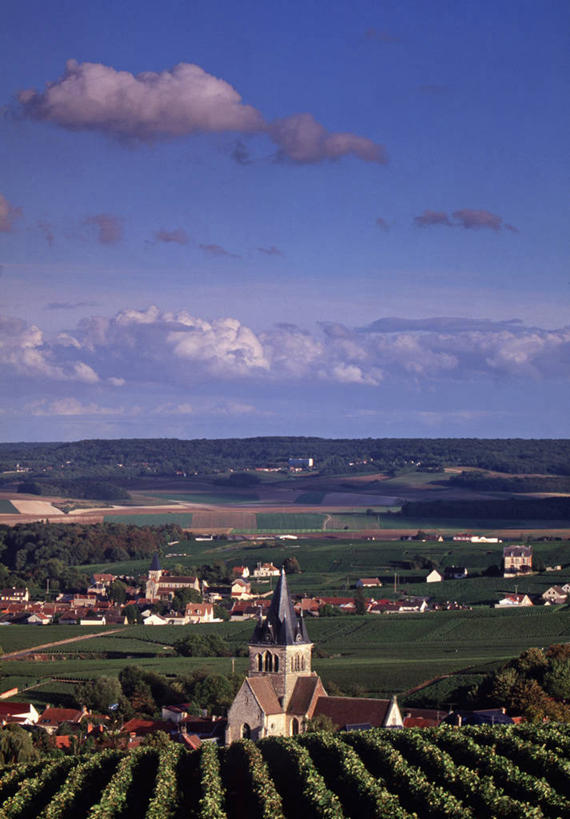 无人,教堂,竖图,室外,法国,欧洲,地形,乡村,葡萄园,香槟,摄影,西欧,法兰西,法国文化,法兰西共和国,法兰西第五共和国,香槟.阿登,香槟.阿登大区,马恩省,彩图,撒谎者
