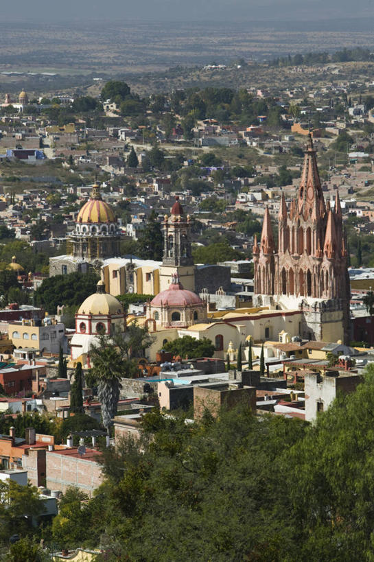 无人,竖图,白天,墨西哥,摄影,北美,北美洲,中美洲,拉丁美洲,美洲,瓜纳华托,瓜纳华托州,北亚美利加洲,亚美利加洲,墨西哥合众国,仙人掌王国,彩图