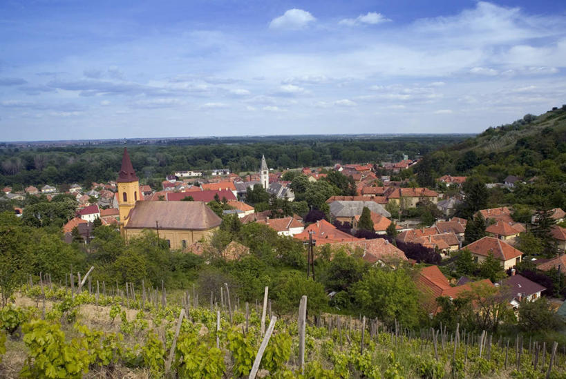 无人,横图,室外,葡萄园,摄影,东欧,中欧,匈牙利共和国,彩图