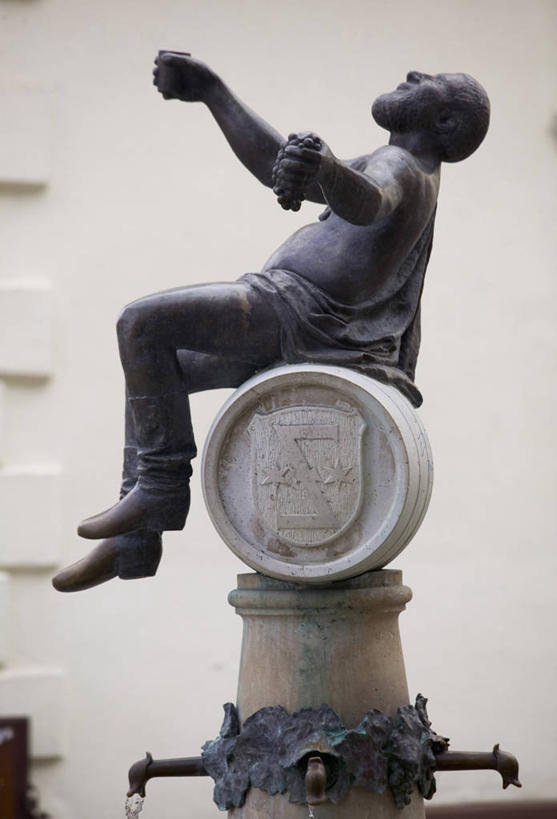 无人,竖图,室外,葡萄园,摄影,东欧,中欧,匈牙利共和国,彩图