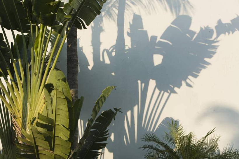 无人,横图,旅游,度假,墨西哥,美国,娱乐,享受,休闲,放松,摄影,北美,北美洲,中美洲,拉丁美洲,美洲,北亚美利加洲,亚美利加洲,科利马,曼萨尼约,彩图,美利坚合众国