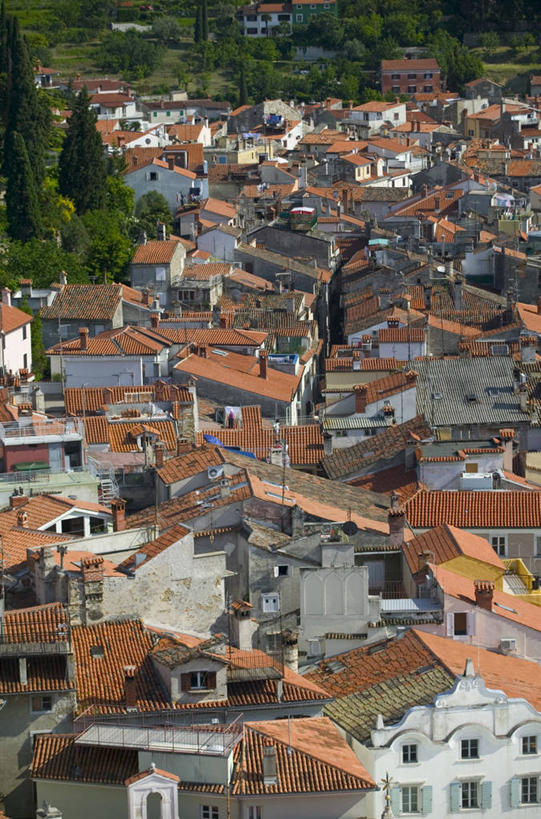 无人,竖图,天线,欧洲,斯洛文尼亚,屋顶,摄影,亚得里亚海,皮兰,彩图