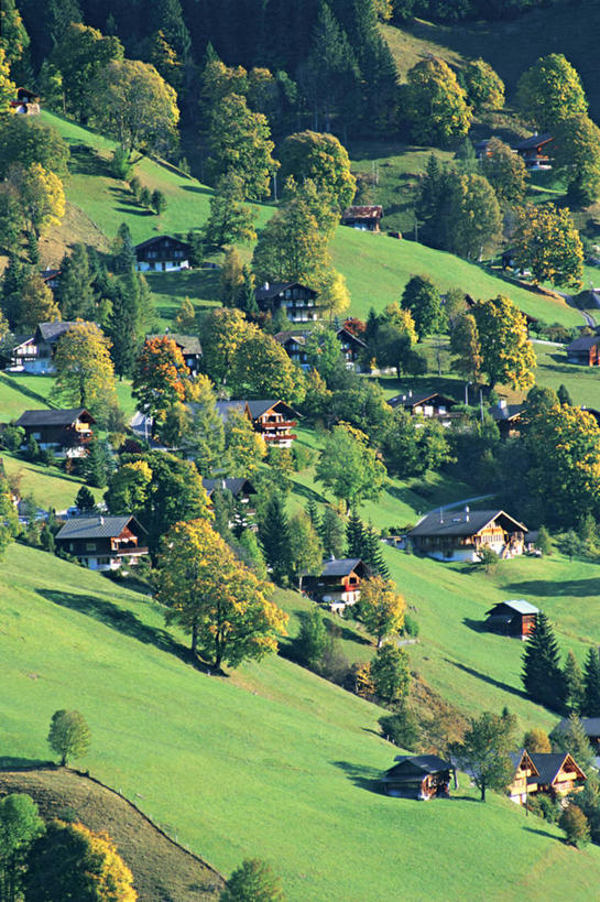 无人,竖图,室外,山,山脉,瑞士,乡村,摄影,阿尔卑斯山脉,格林德瓦,彩图