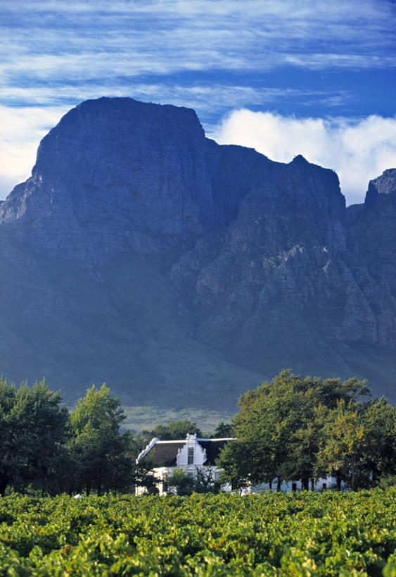 无人,竖图,南非,摄影,开普省,彩图