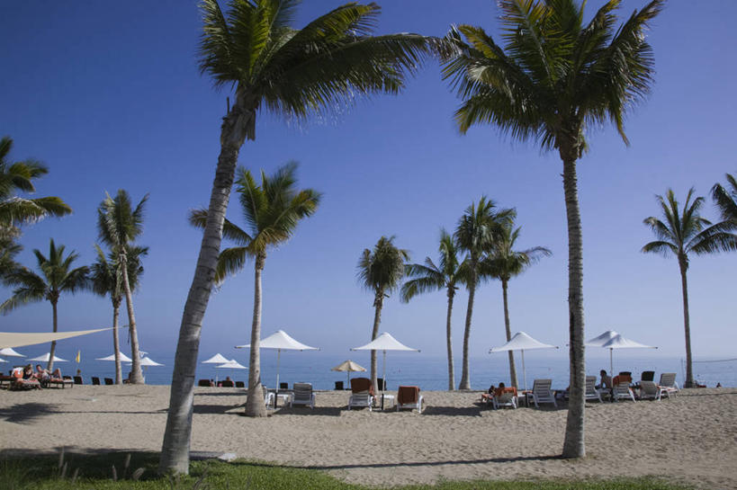 无人,横图,室外,城市,棕榈树,阿曼,首都,摄影,中东,波斯湾,大马斯喀特,阿拉伯,海滩,彩图,阿拉伯半岛