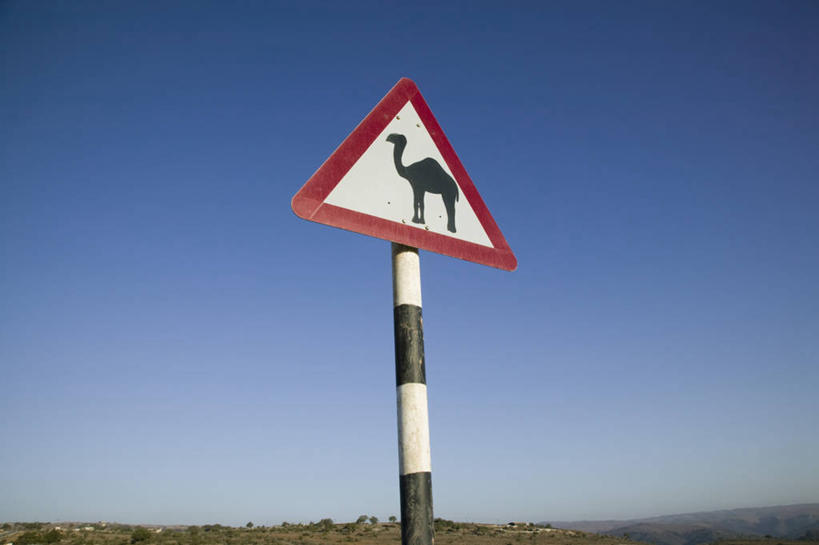 无人,横图,指示牌,阿曼,标志,文字,标识,摄影,中东,早晨,波斯湾,塞拉莱,阿拉伯,彩图,阿拉伯半岛