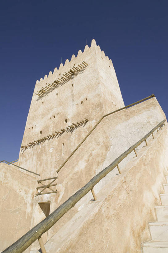 无人,竖图,卡塔尔,摄影,中东,波斯湾,满山香,透骨草,彩图,白珠树,滇白珠树,冬绿树,火炭子,满天香,透骨香,洗澡叶,钻骨风,阿拉伯半岛