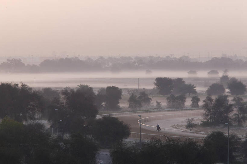 无人,横图,城市,摄影,中东,阿拉伯联合酋长国,迪拜,波斯湾,跑马场,彩图,阿拉伯半岛