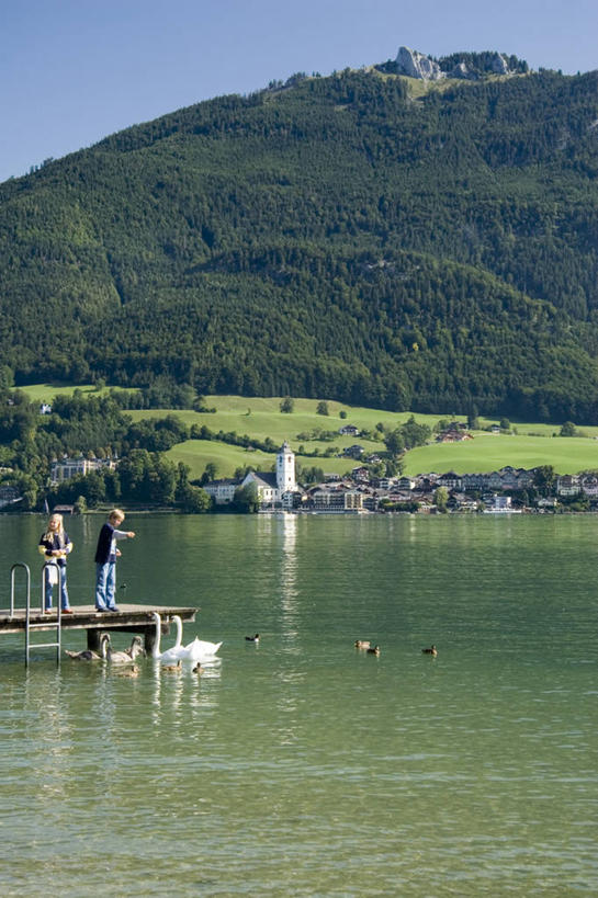 竖图,室外,湖,奥地利,欧洲,摄影,西欧,萨尔茨卡默古特,彩图,沃尔夫冈湖