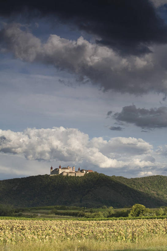 无人,竖图,山,奥地利,欧洲,城堡,地形,地标建筑,摄影,西欧,下奥地利州,彩图