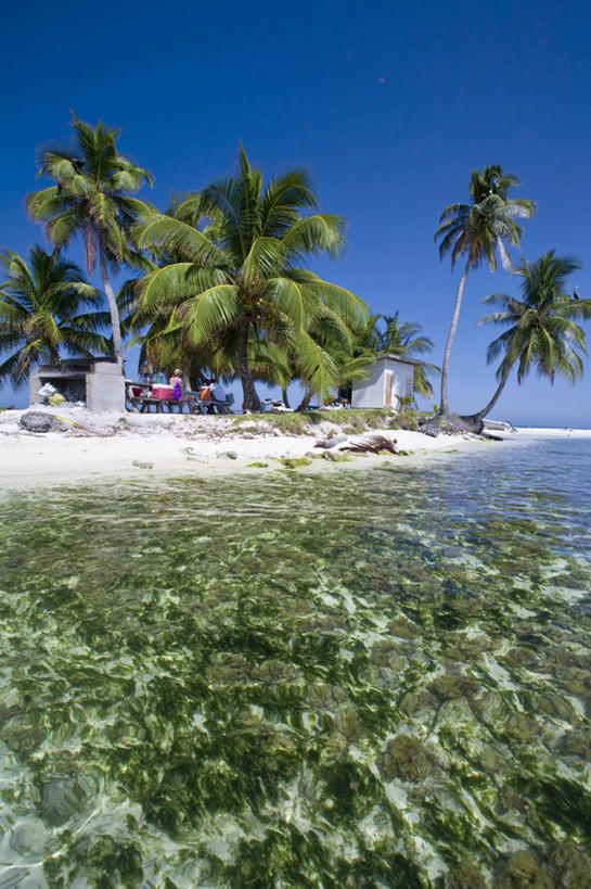 无人,竖图,室外,伯利兹,岛,珊瑚礁,摄影,热带气候,中美洲,拉丁美洲,海滩,彩图