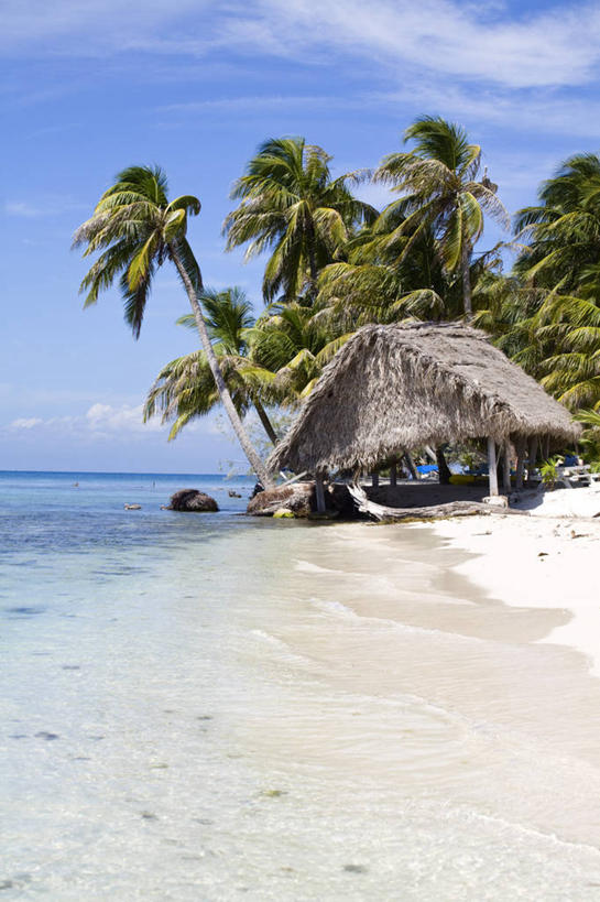 无人,竖图,室外,伯利兹,岛,珊瑚礁,摄影,热带气候,中美洲,拉丁美洲,海滩,彩图