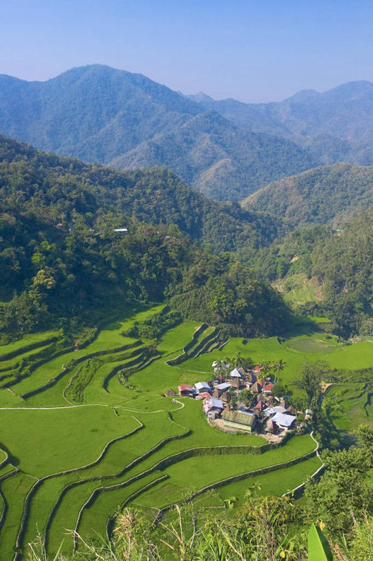 无人,竖图,室外,菲律宾,亚洲,稻田,地形,地标建筑,摄影,东南亚,吕宋岛,彩图,菲律宾人