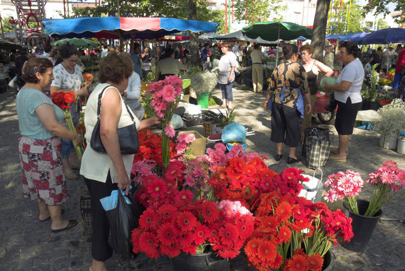 横图,葡萄牙,欧洲,市场,花,摄影,西欧,彩图