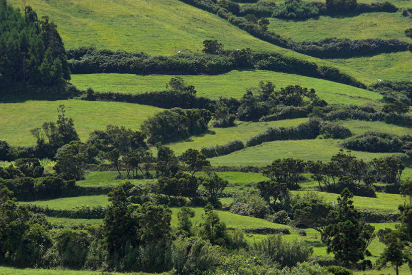 无人,横图,室外,葡萄牙,欧洲,岛,地形,田地,大西洋,摄影,西欧,亚速群岛,大西洋群岛,法亚尔岛,彩图