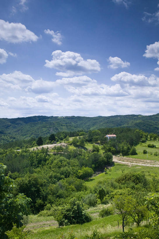 无人,竖图,室外,美景,欧洲,克罗地亚,地形,景观,自然,景色,摄影,地中海文化,自然风光,巴尔干,东欧,伊斯特利亚,彩图