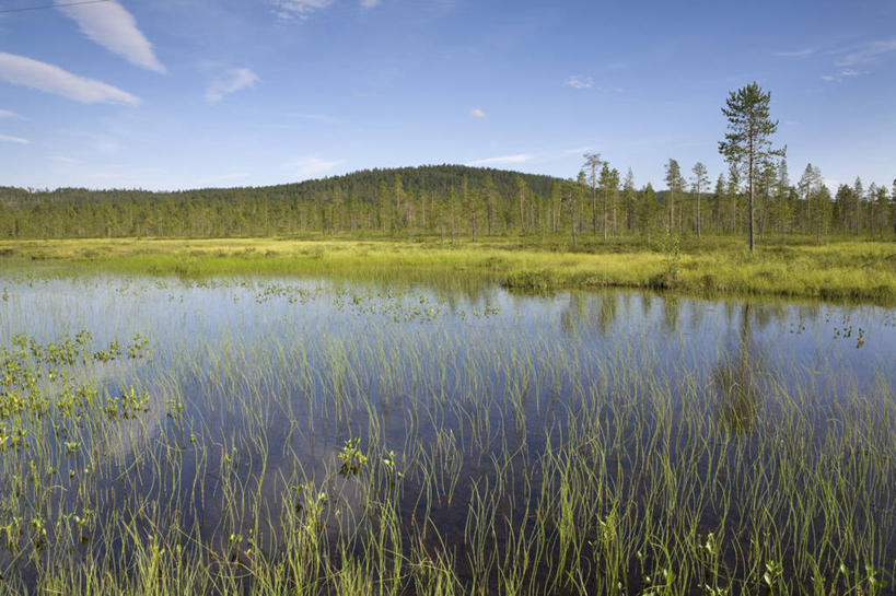 无人,横图,室外,北极,湖,欧洲,芬兰,地形,夏天,摄影,西欧,北欧,拉普兰,彩图