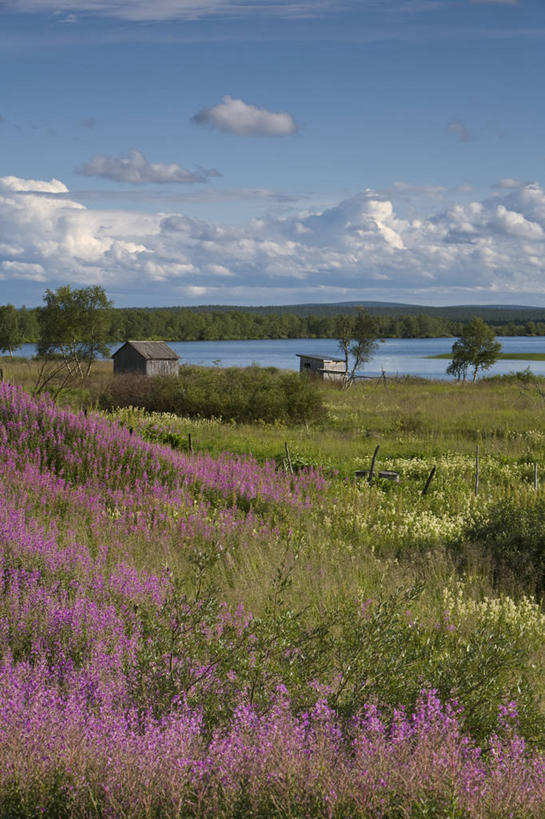 无人,竖图,室外,北极,湖,欧洲,芬兰,地形,夏天,摄影,西欧,北欧,拉普兰,彩图