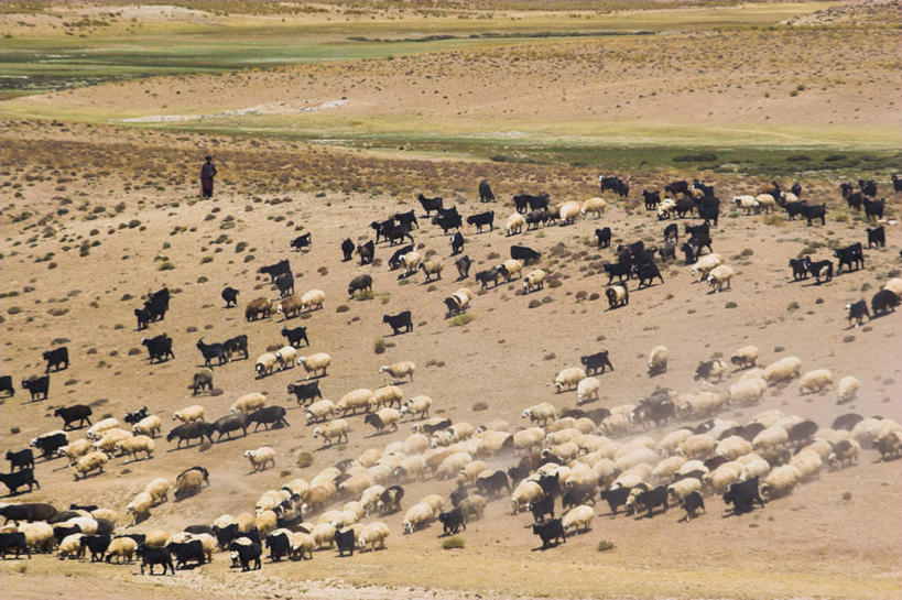 无人,横图,阿富汗,亚洲,摄影,中亚,彩图