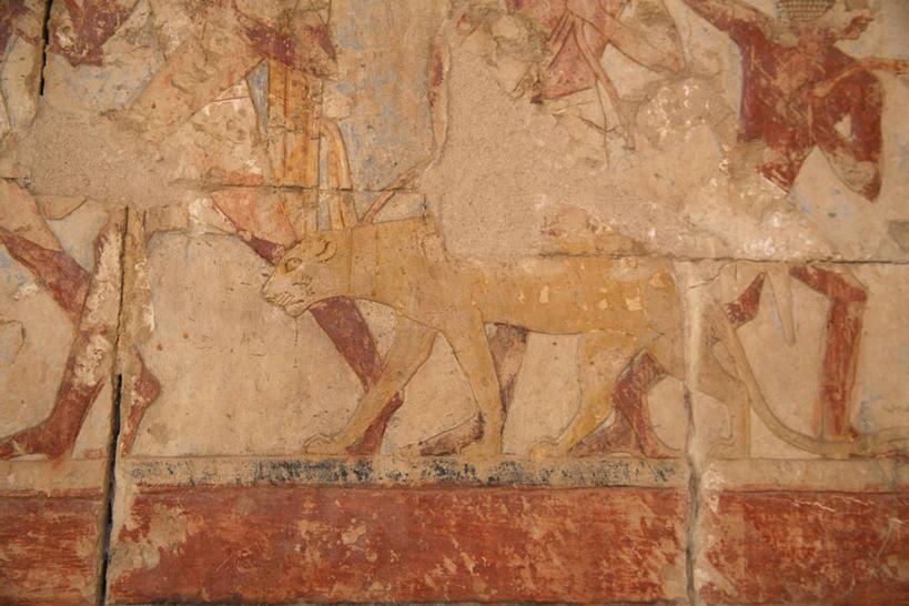 无人,横图,室外,尼罗河,非洲,巴基斯坦,埃及,亚洲,围墙,摄影,考古学,中东,南亚,作画,北非,埃及文化,巴基斯坦伊斯兰共和国,彩图,约旦河西岸地区,埃及卢克索