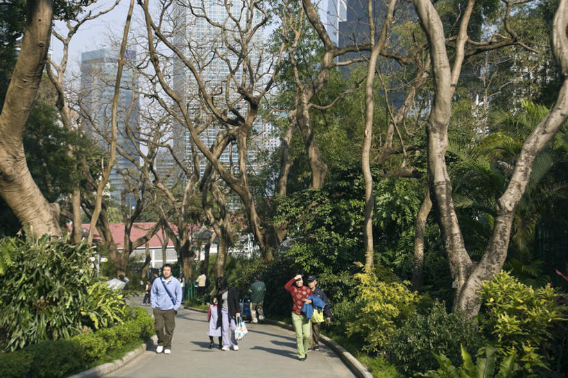 横图,城市,香港,亚洲,摄影,香港公园,步行,彩图