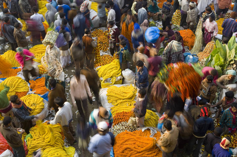 横图,孟加拉国,印度,亚洲,花市,摄影,南亚,孟加拉人民共和国,加尔各答,印度次大陆,彩图